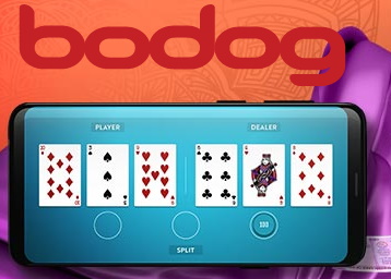 bodog