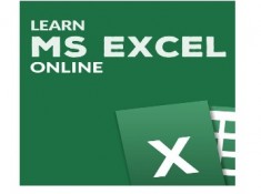 MS Excel 2010 E-certification Course Advanced Level (52 Video Lectures,36 Pdf'S) on Snapdeal flat 93% off at Rs.99