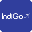 indigo